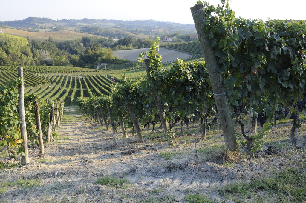 Agriturismo Ca' Brusa Monforte D'Alba Bagian luar foto